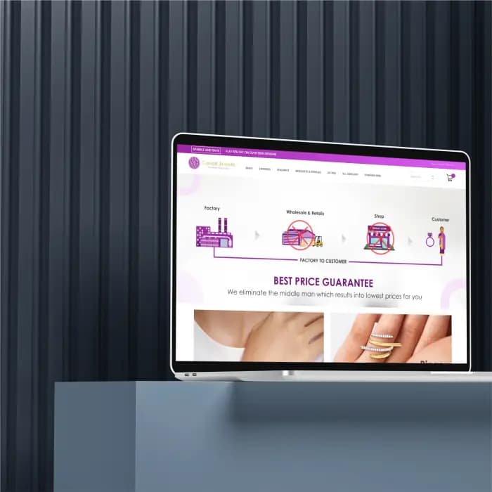 Portfolio Image 4