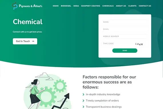 Portfolio Image